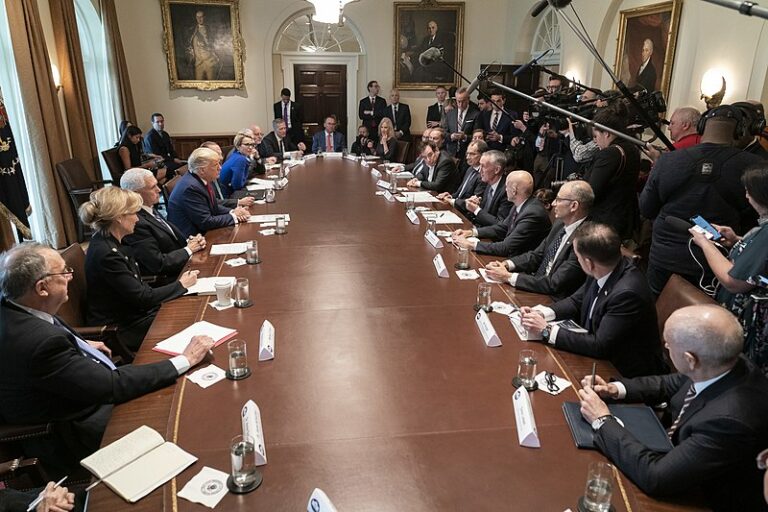 President Donald J. Trump and Vice President Mike Pence, joined by members of the Coronavirus Task Force, meet with representatives from pharmaceutical companies Monday March 2, 2020, in the Cabinet Room of the White House. (Official White House Photo by Joyce N. Boghosian)