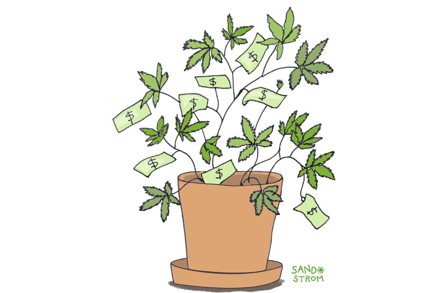 How Do States Tax Cannabis?